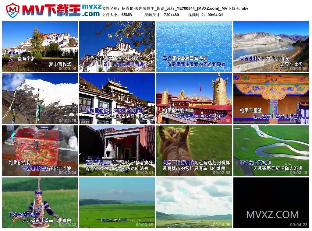 杨真鹏-去内蒙放羊_国语_流行_YE700544
